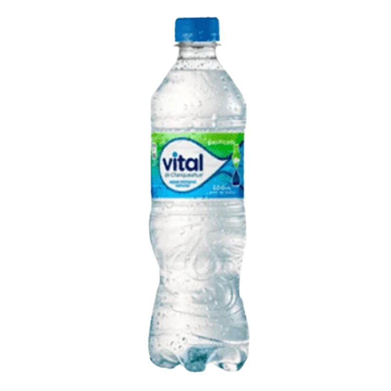 agua vital con gas 600ml